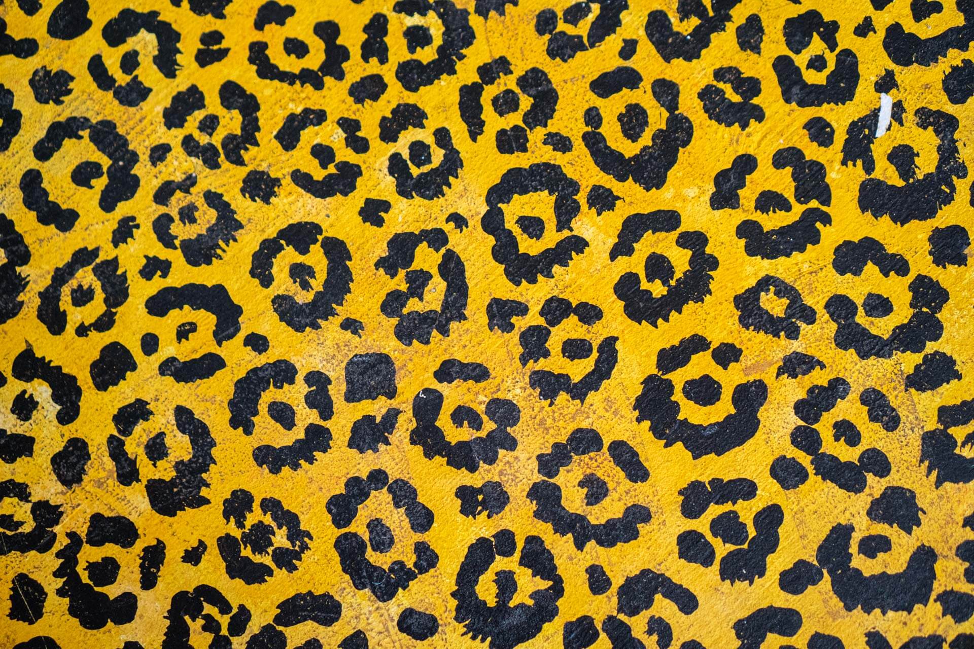 DSC00132 – CLA COL MANUEL – Edit 1