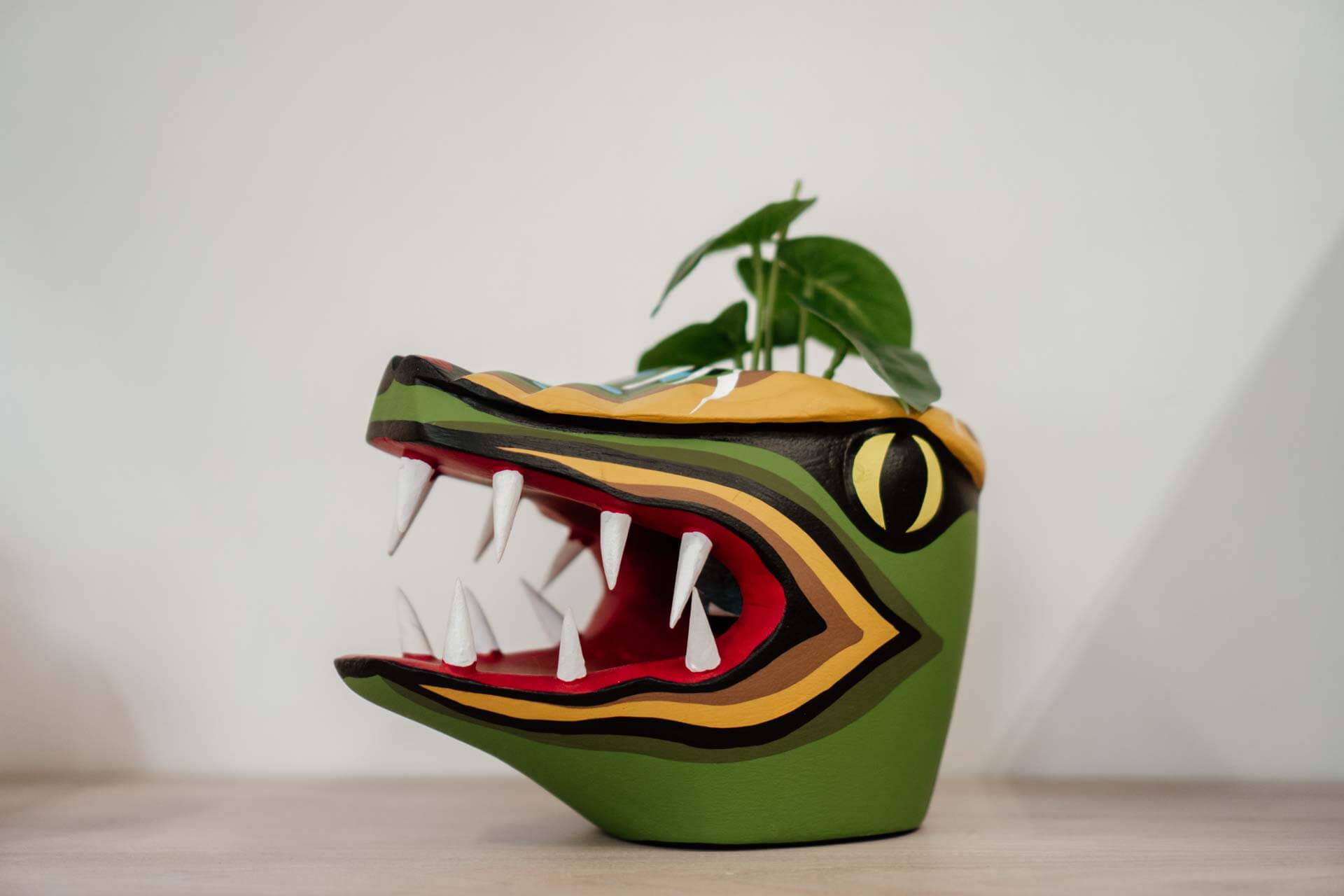 DSC00785 – CLA COL MANUEL – Edit 1