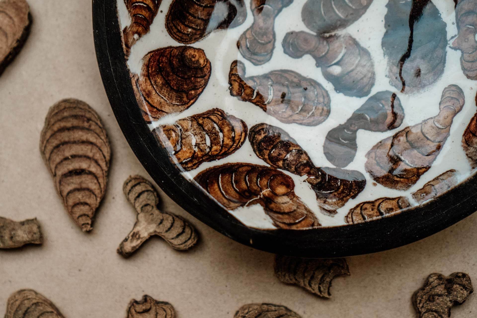 DSC07295 – CLA COL RAFAEL – Edit 1