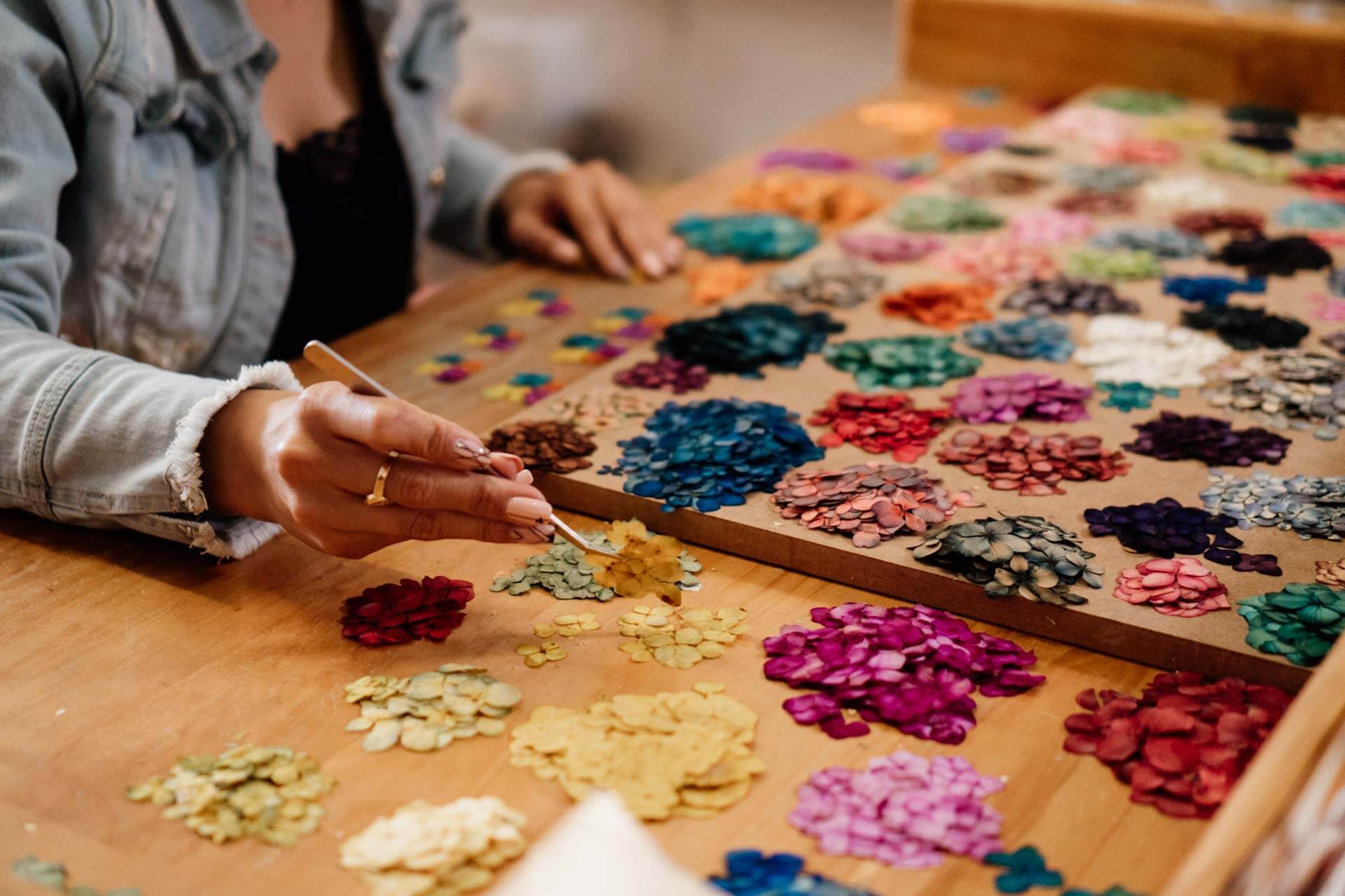 DSC09042 – CLA COL CAROLINA – Edit 1