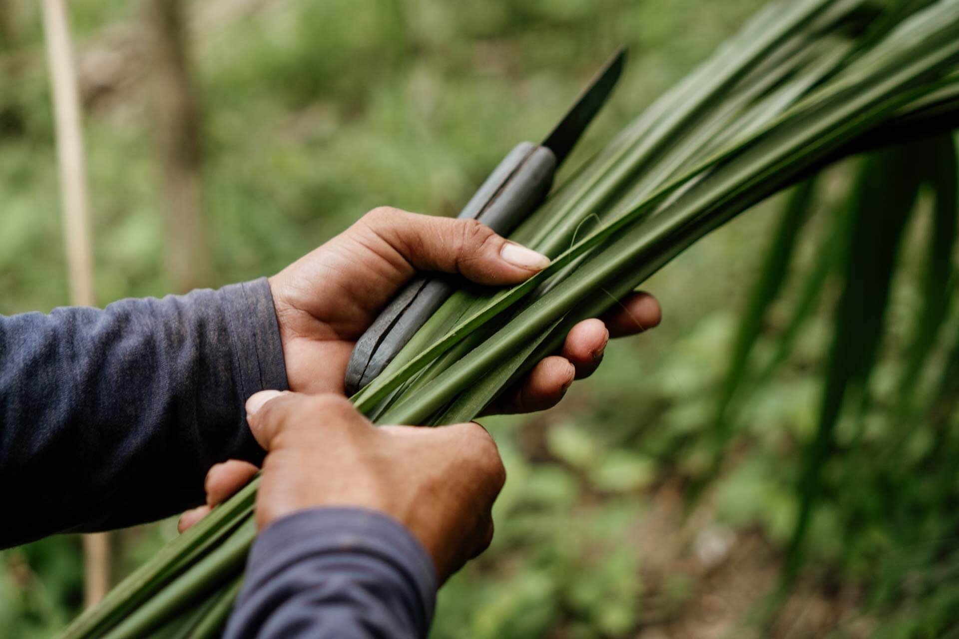 DSC09193 – CLA COL MONTALVO – Edit 1