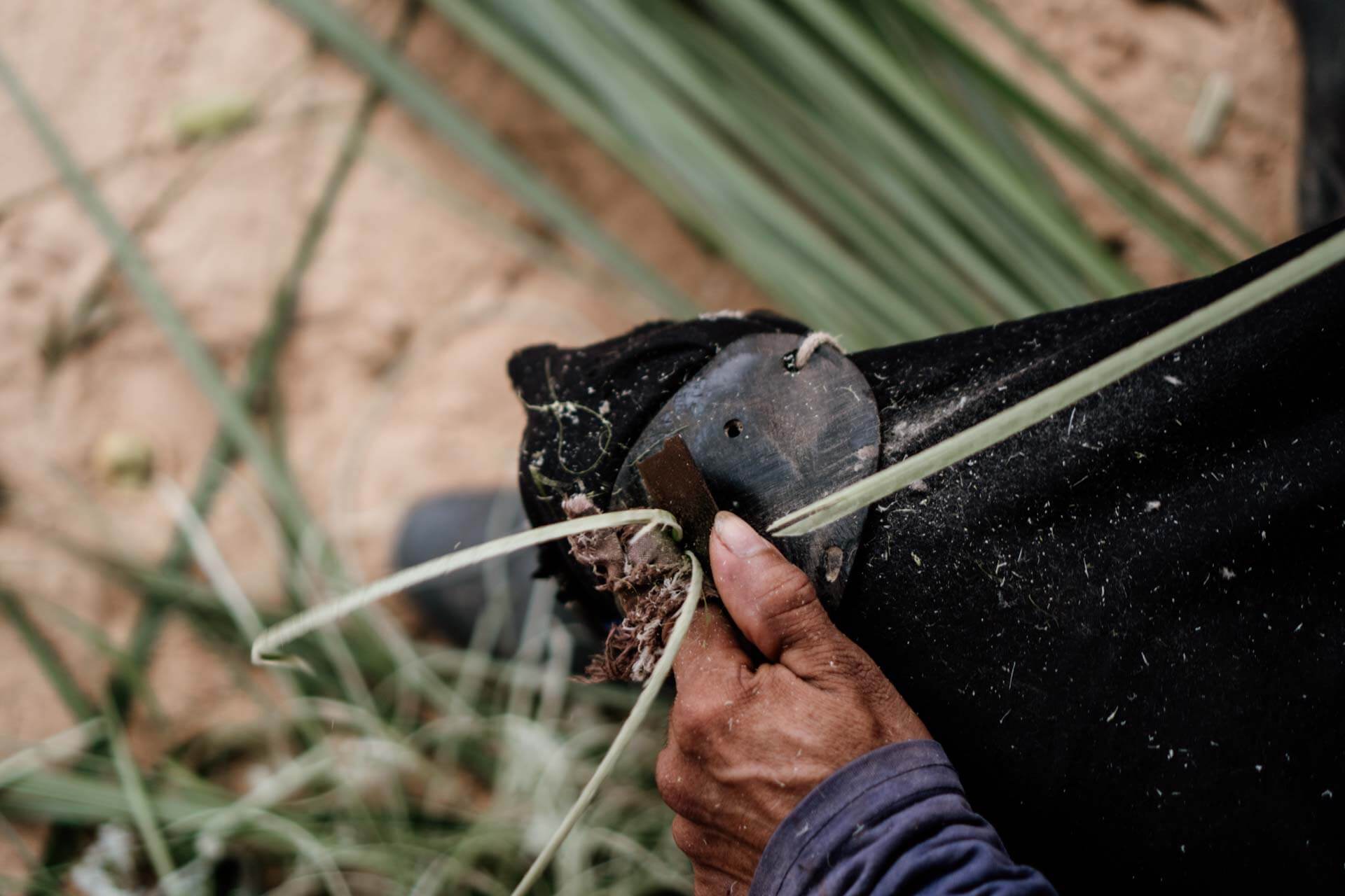 DSC09276 – CLA COL MONTALVO – Edit 1