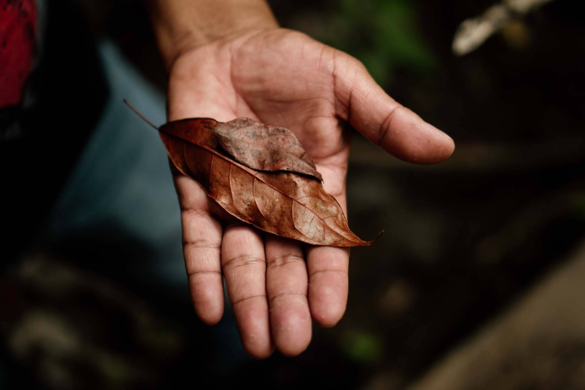 DSC09596 – CLA COL MONTALVO – Edit 1