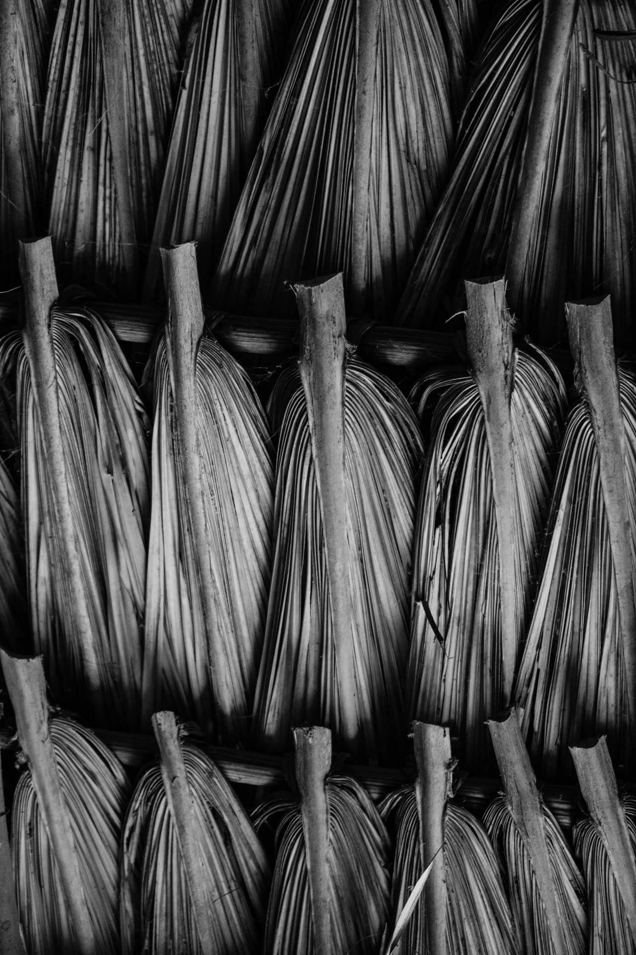 DSC09946 – CLA COL MONTALVO – Edit 1