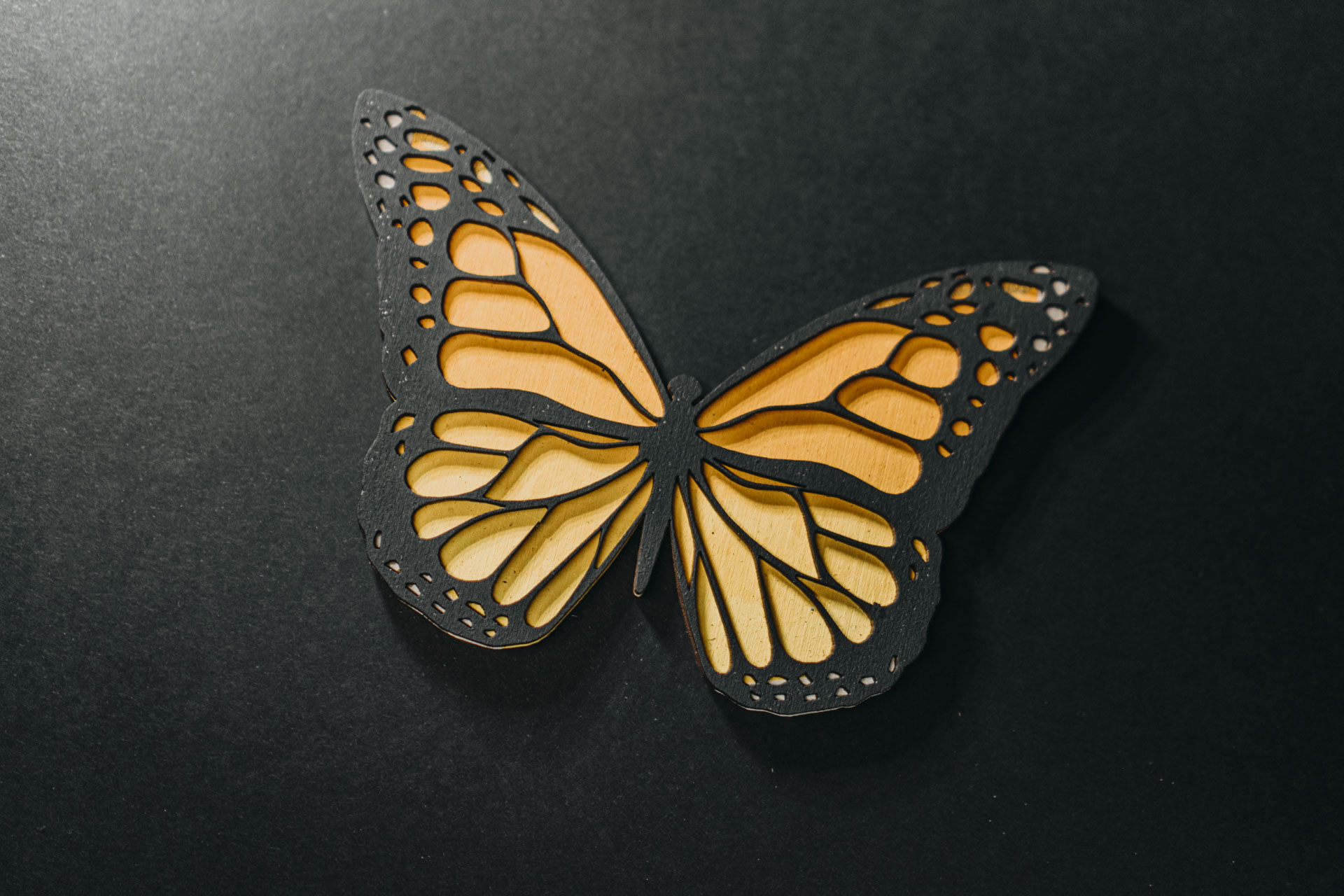 DSC03544- CLACR – Juan – EDIT1