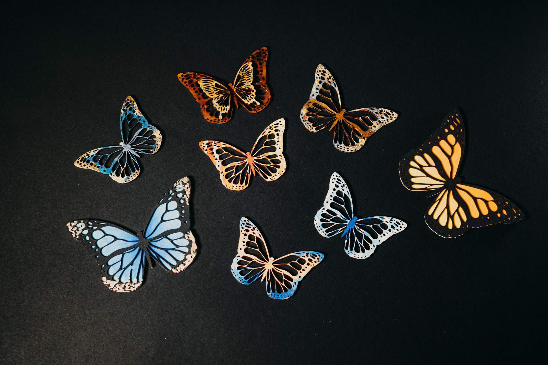 DSC03556- CLACR – Juan – EDIT1