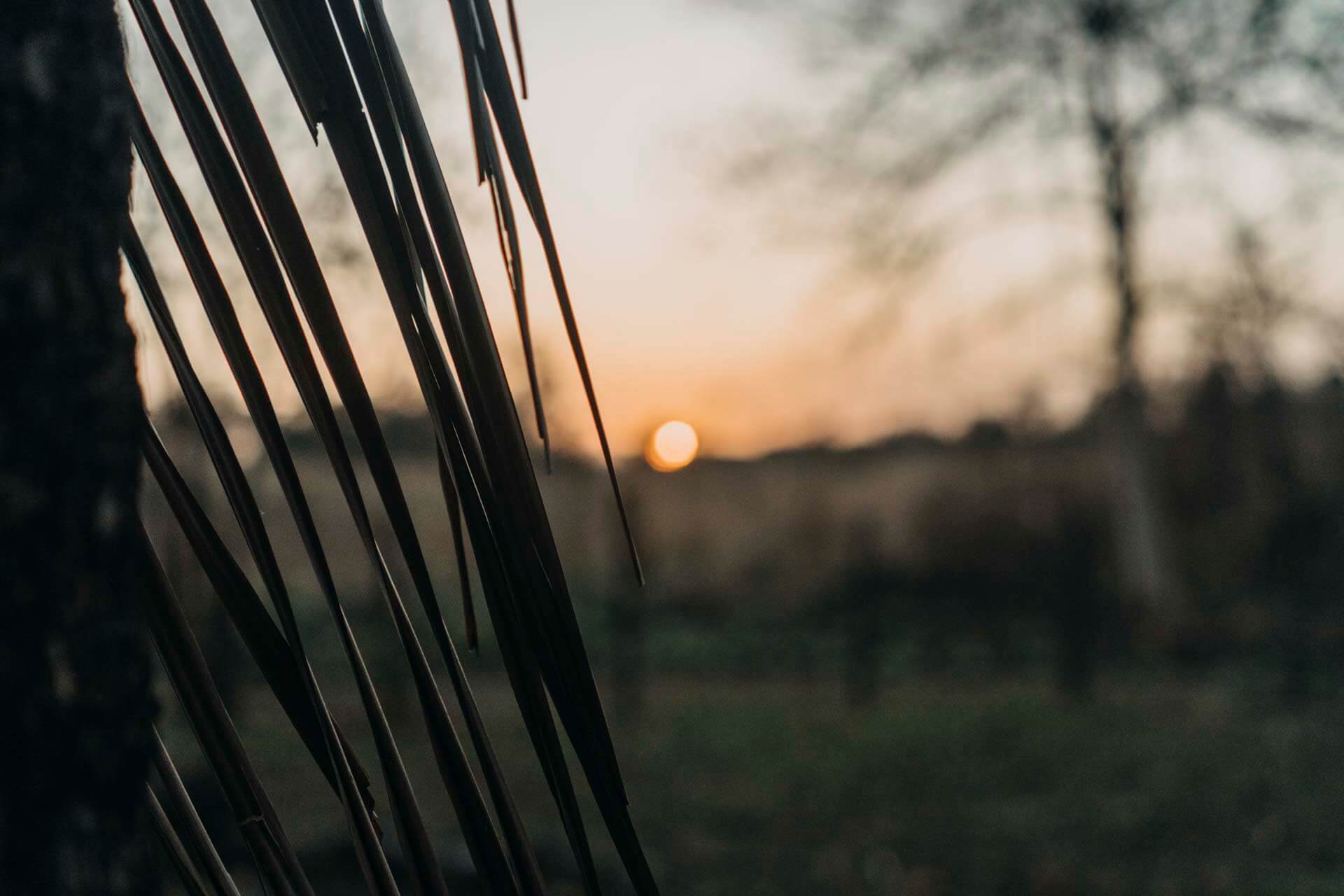 DSC08663- CLACR – Henry – Edit1 – Web