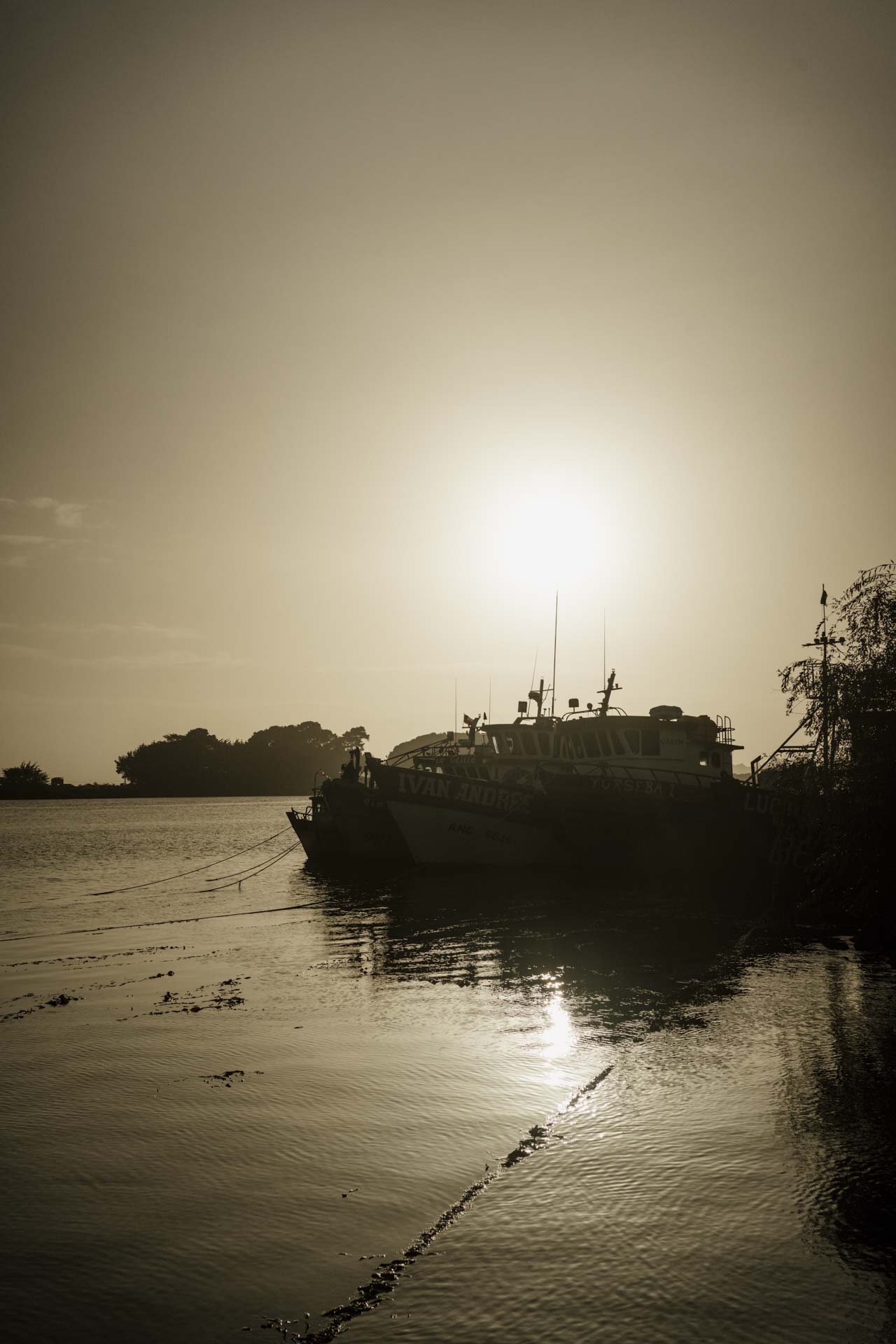 A7407339 – CLA CHILE – ANDRES – v1 – Web