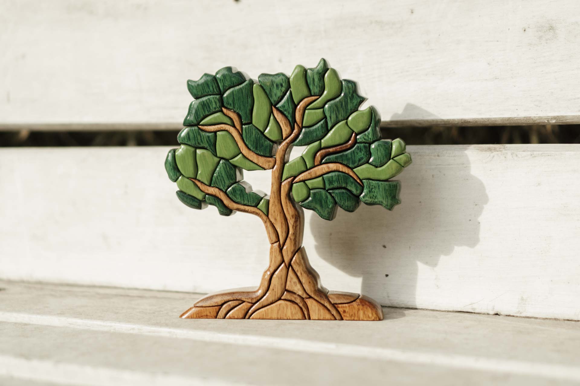 _DSC5004 – CLAPERU – barrow – EDIT1 – web