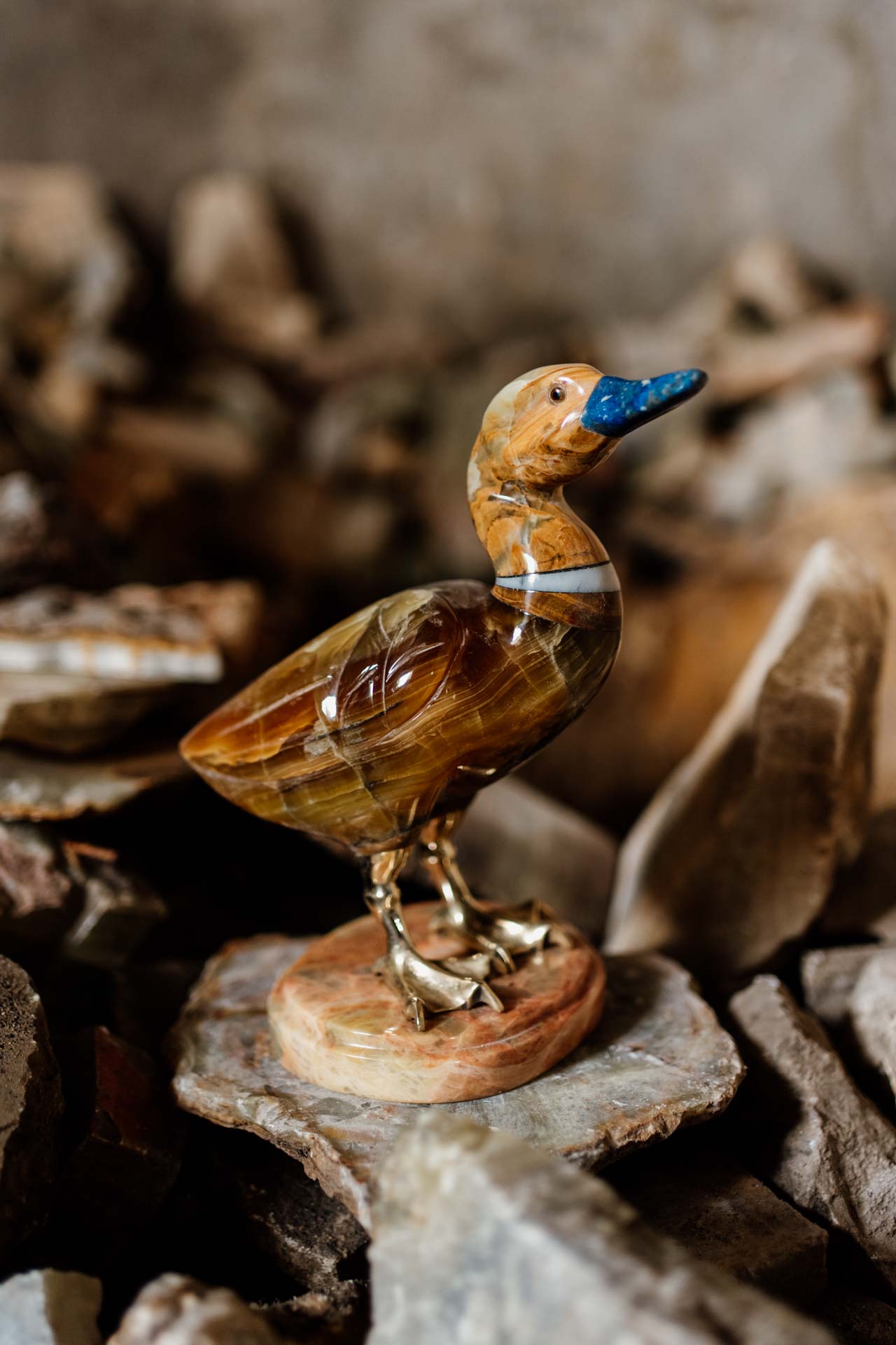 A7406859CLA CHILE – Marcelo – V1 – Web