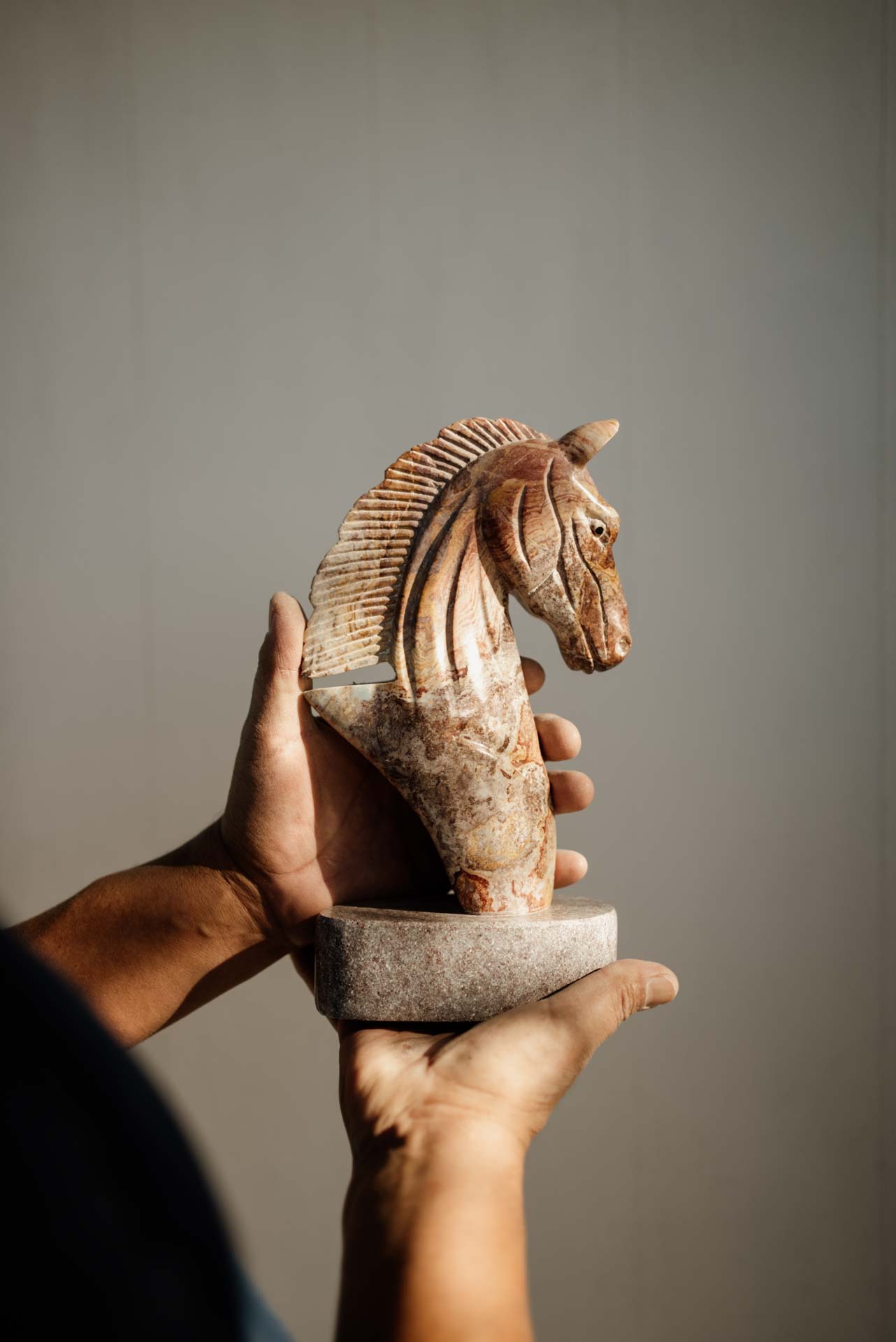 DSC04993CLA CHILE – Raul – V1 – Web