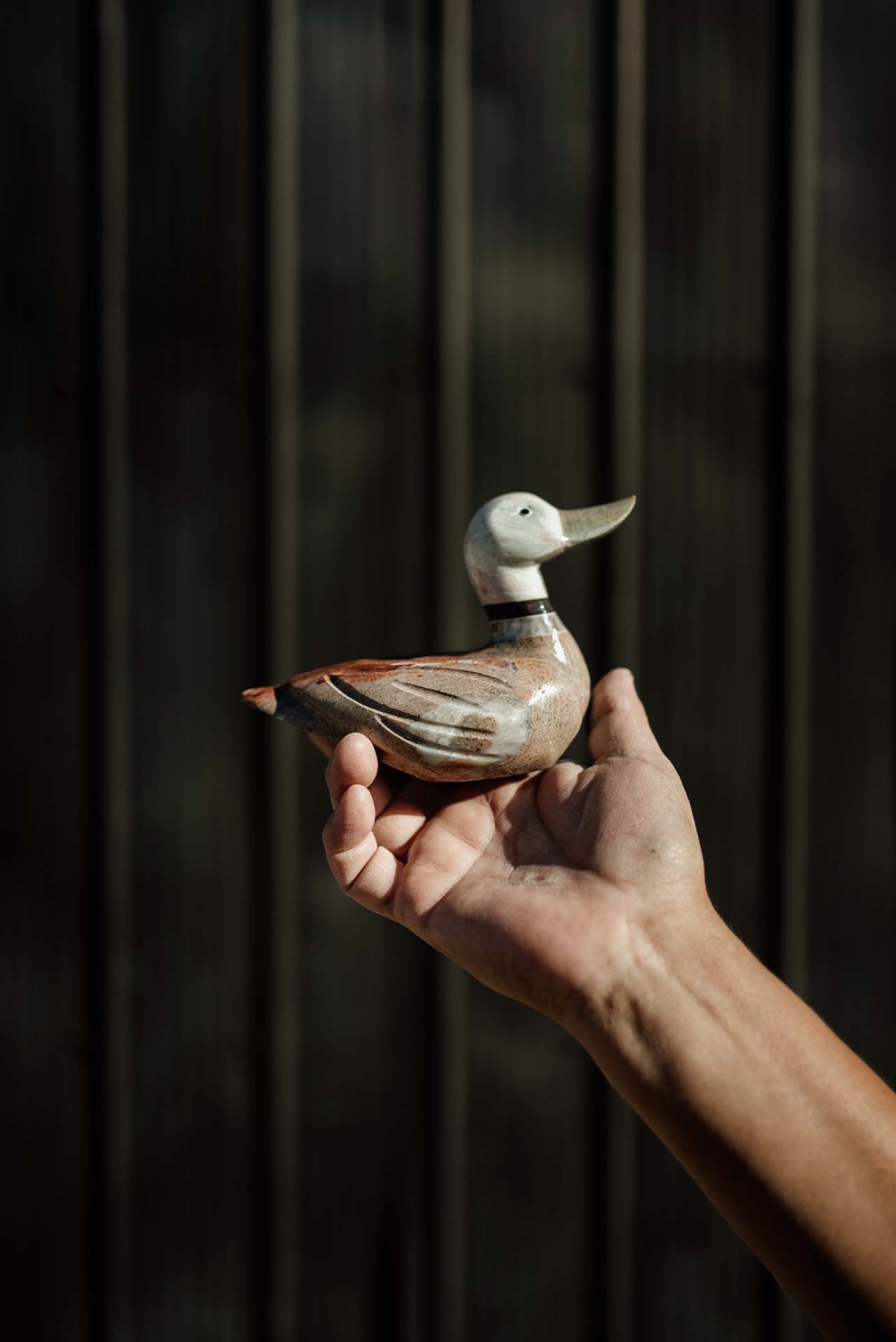 DSC05001CLA CHILE – Raul – V1 – Web